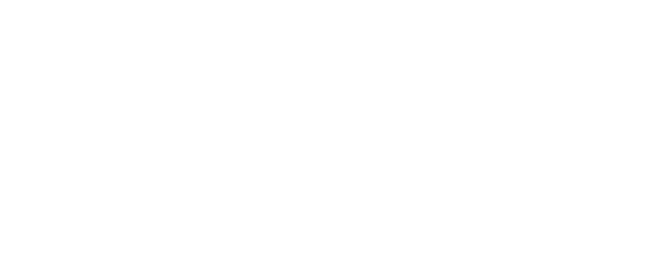 JoyVision